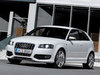 Audi S3 [2006]