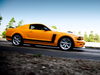 Ford Parnelli Jones Limited Edition Mustang [2007]  Saleen