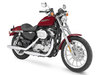Harley-Davidson XL 883-883 [2007]