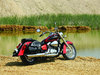 Honda Shadow [2006]