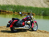 Honda Shadow [2006]