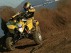 Suzuki QuadRacer R450 [2007]