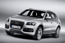 Audi Q5 S-Line:  