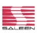 Saleen