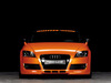 Audi TT [2006]  Reiger