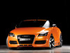 Audi TT [2006]  Reiger