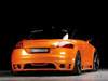 Audi TT [2006]  Reiger