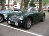 Austin-Healey 100 [1952]