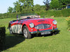 Austin-Healey 100 [1952]