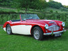 Austin-Healey 100 [1952]