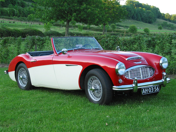 Austin-Healey 100 [1952]