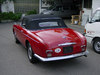 BMW 503 [1955]