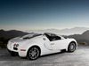 Bugatti Veyron 16.4 [2009]