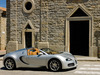 Bugatti Veyron 16.4 [2009]