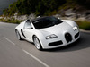 Bugatti Veyron 16.4 [2009]