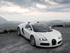 Bugatti Veyron 16.4 [2009]