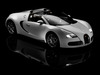 Bugatti Veyron 16.4 [2009]