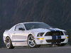 Ford Mustang Shelby GT500 [2007]  Hennessey