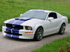 Ford Mustang [2006]  Konigseder