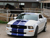 Ford Mustang [2006]  Konigseder