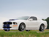 Ford Mustang [2006]  Konigseder