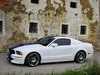 Ford Mustang [2006]  Konigseder