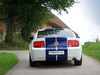 Ford Mustang [2006]  Konigseder