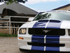 Ford Mustang [2006]  Konigseder