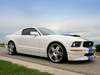 Ford Mustang [2006]  Konigseder