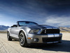 Ford Mustang Shelby GT500 [2009]