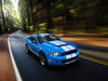 Ford Mustang Shelby GT500 [2009]