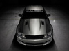 Ford S302 Extreme [2008]  Saleen