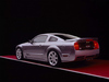 Ford Saleen S281 SC [2007]  Saleen