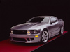 Ford Saleen S281 SC [2007]  Saleen