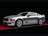 Ford Saleen S281 SC [2007]  Saleen