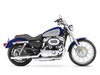 Harley-Davidson XL 1200C-1200 CUSTOM [2007]