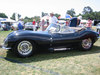 Jaguar D-type [1954]