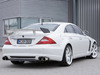 Mercedes-Benz CLS (GTR) [2006]  ART