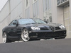 Mercedes-Benz SLR McLaren [2003]  Brabus