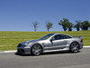 Mercedes-Benz SL65 AMG Black Series [2008]