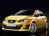 Seat Ibiza Cupra [2009]