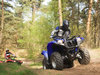 Yamaha Grizzly 700 FI [2007]