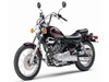 Yamaha Virago 250 [2007]