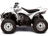 Yamaha Wolverine 450 [2007]