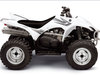 Yamaha Wolverine 450 [2007]