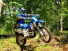 Yamaha WR250F [2007]