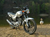 Yamaha YBR125 [2006]