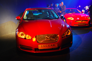   Jaguar   