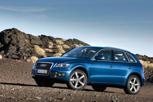 Audi Q5 CUV:    Q