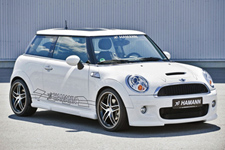 Mini-  